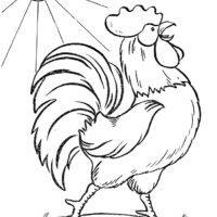 Rooster Chicken Coloring Page