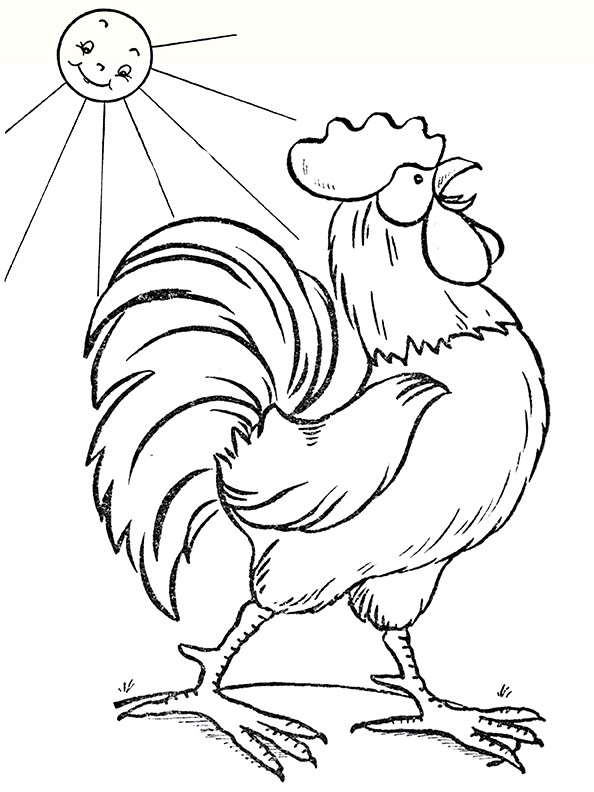 open book outline clipart of rooster