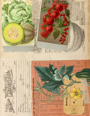 Printable Vintage Seed Catalog Journal Pages