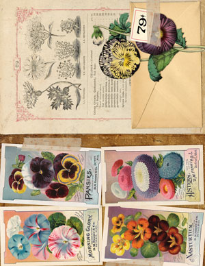 Vintage Seed Catalog Printable Journal Pages