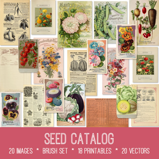 Seed Catalog Ephemera vintage images