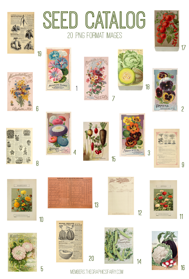 Vintage Seed Catalog Ephemera Digital Image Bundle