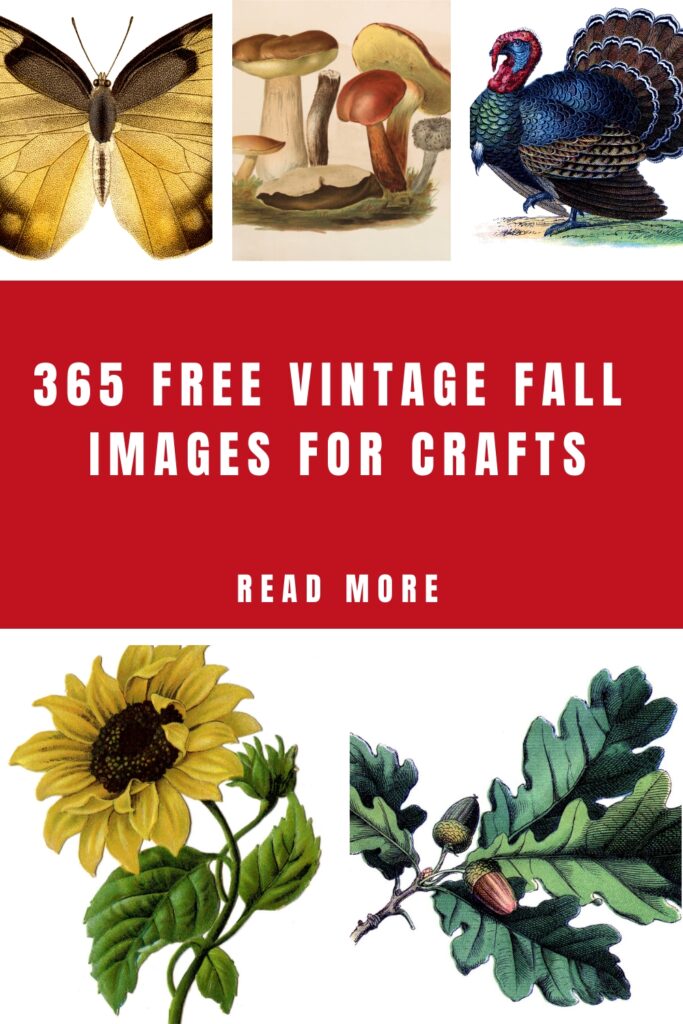 Vintage Fall Images for Crafts