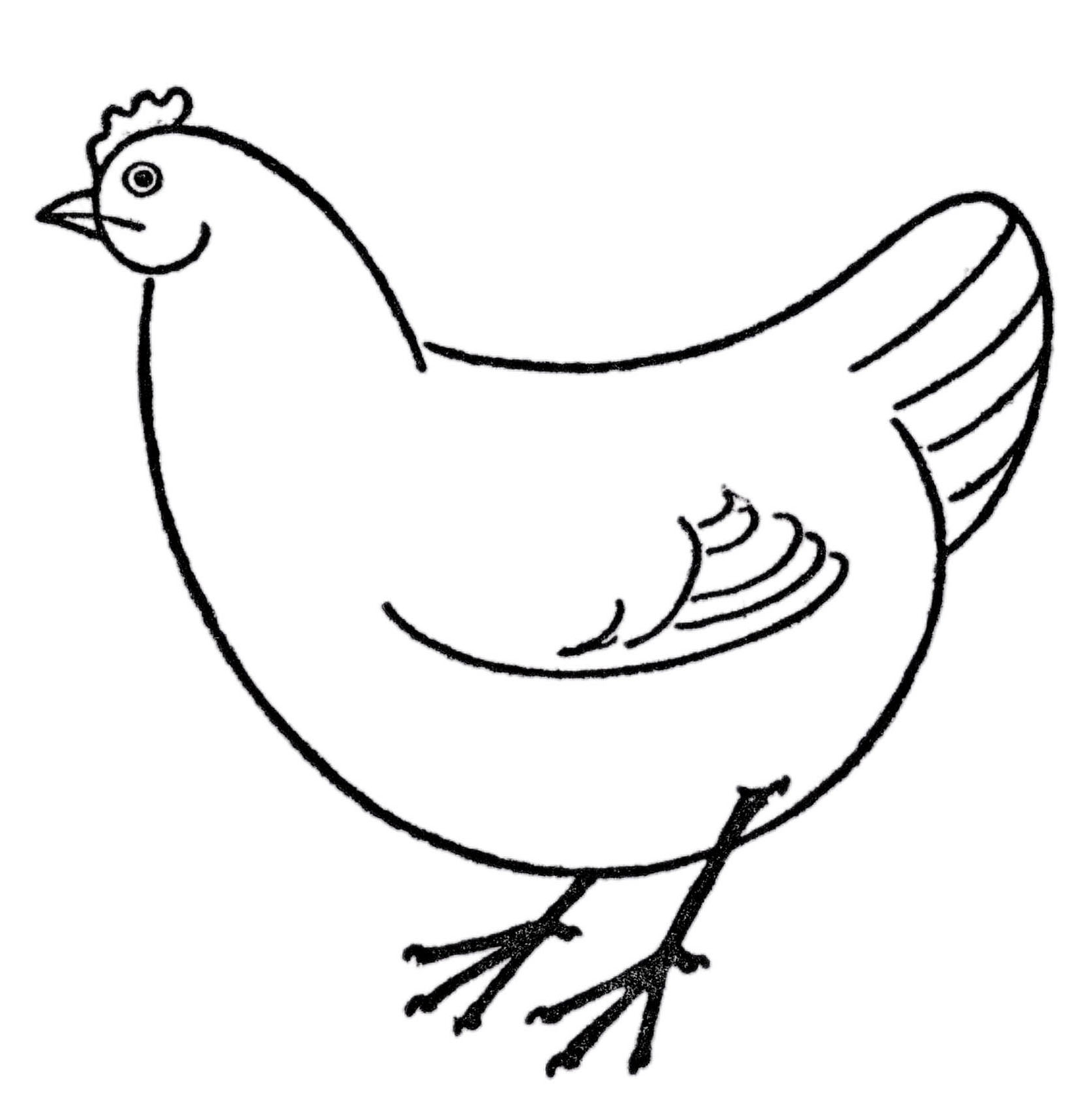Easy Chicken Drawing