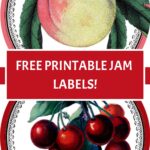 Peach and Cherry labels pin