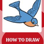 How to draw Birds Easily