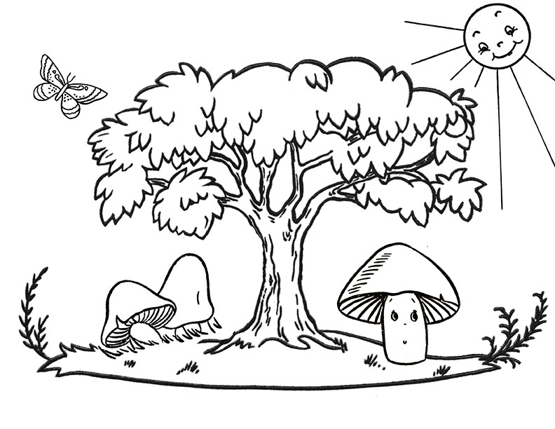 Kawaii Mushrooms Coloring Book Printable PDF Instant Digital 