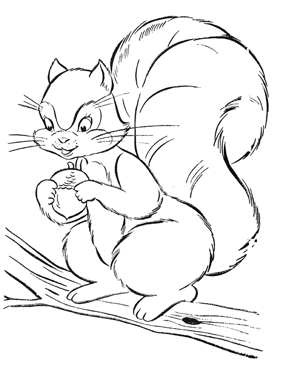 Squirrel with Acorn Coloring Sheet