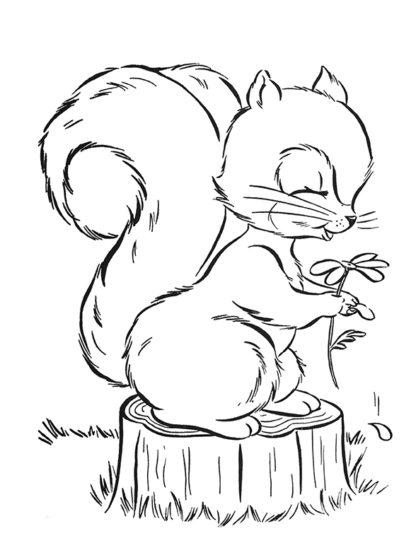 6 Squirrel Coloring Page! The Graphics Fairy