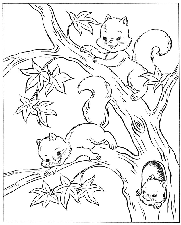 squirrel in tree coloring pages