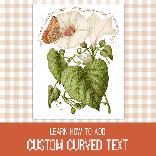 Custom Curved Text Photoshop Elements Tutorial