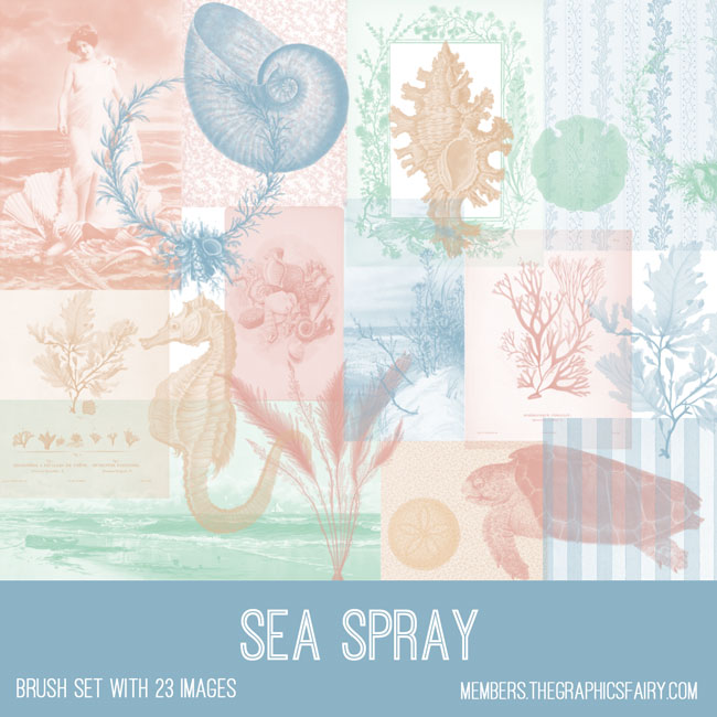 Vintage Sea Spray Ephemera Brush Set
