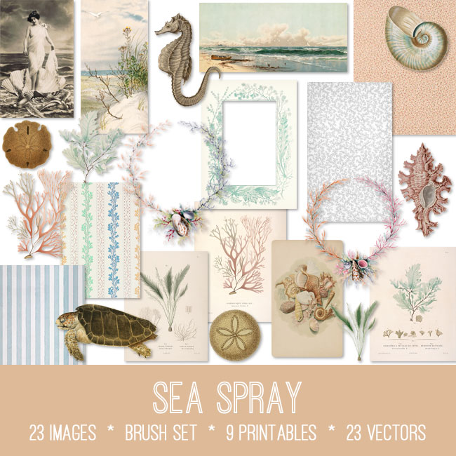 Sea Spray Ephemera Vintage Images