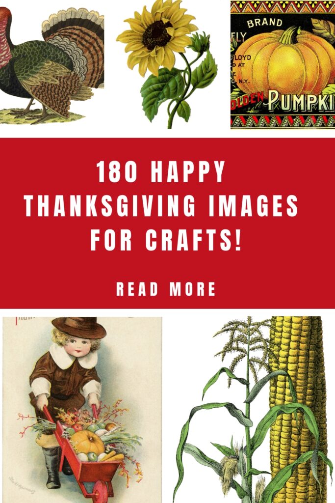 Thanksgiving Pictures for Crafts Pin