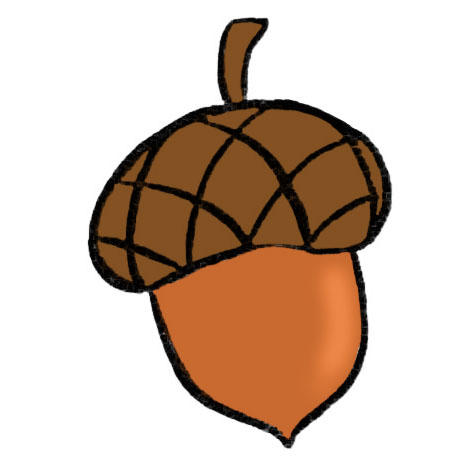 Acorn Drawing: (4 Easy Steps)! - The Graphics Fairy