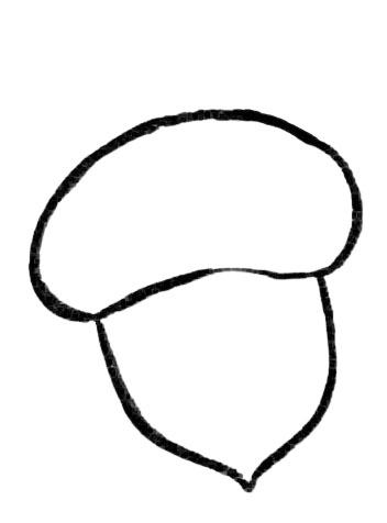 Acorn Process Sketch