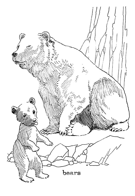 Bears Coloring Page