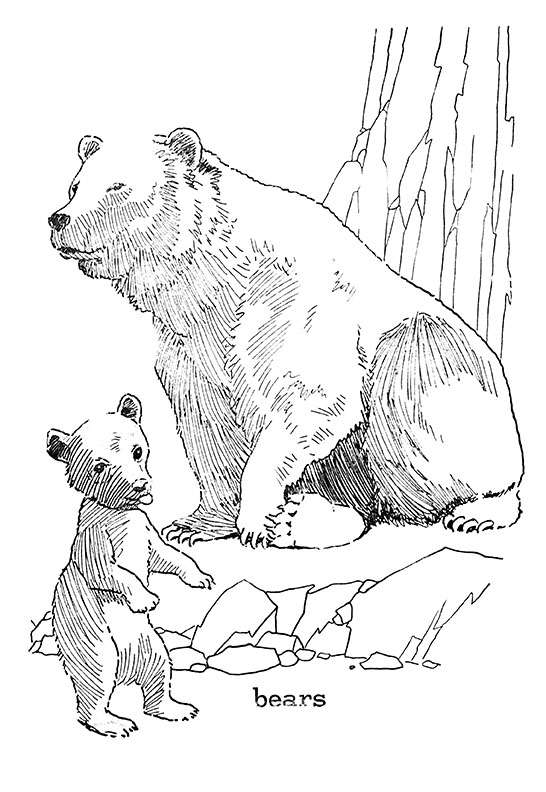 forest bear coloring pages