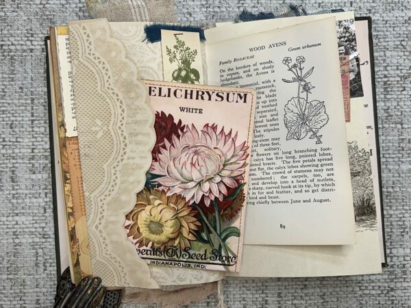 Junk journal spread with seed packet