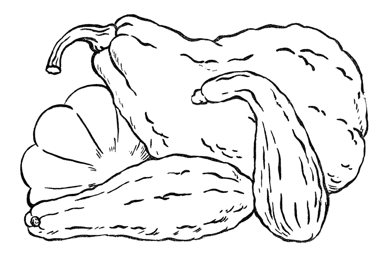Gourds Coloring Page