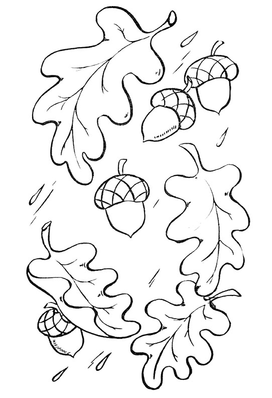 Fall Oak Leaves Coloring Page