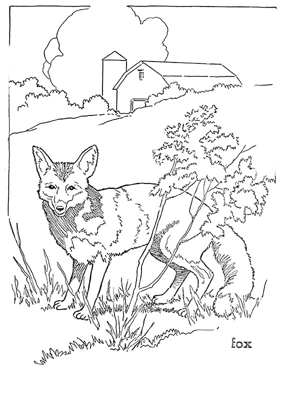 coloring pages of animals