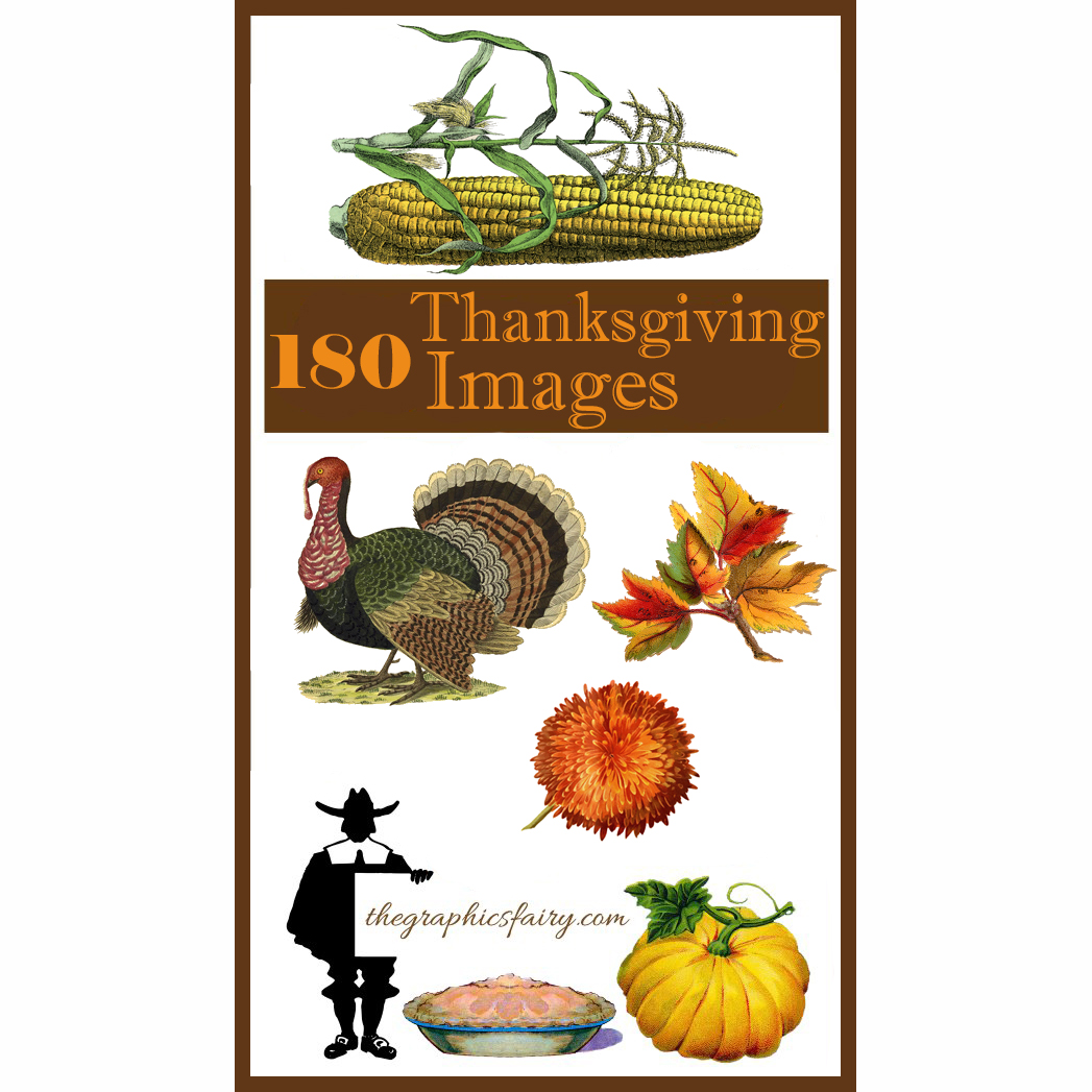 website animated clipart thanksgiving