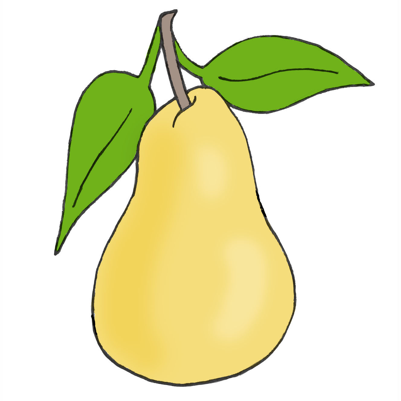 Details 188+ pear sketch images