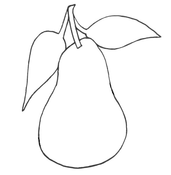 Pear Drawing: (4 Easy Steps)! - The Graphics Fairy