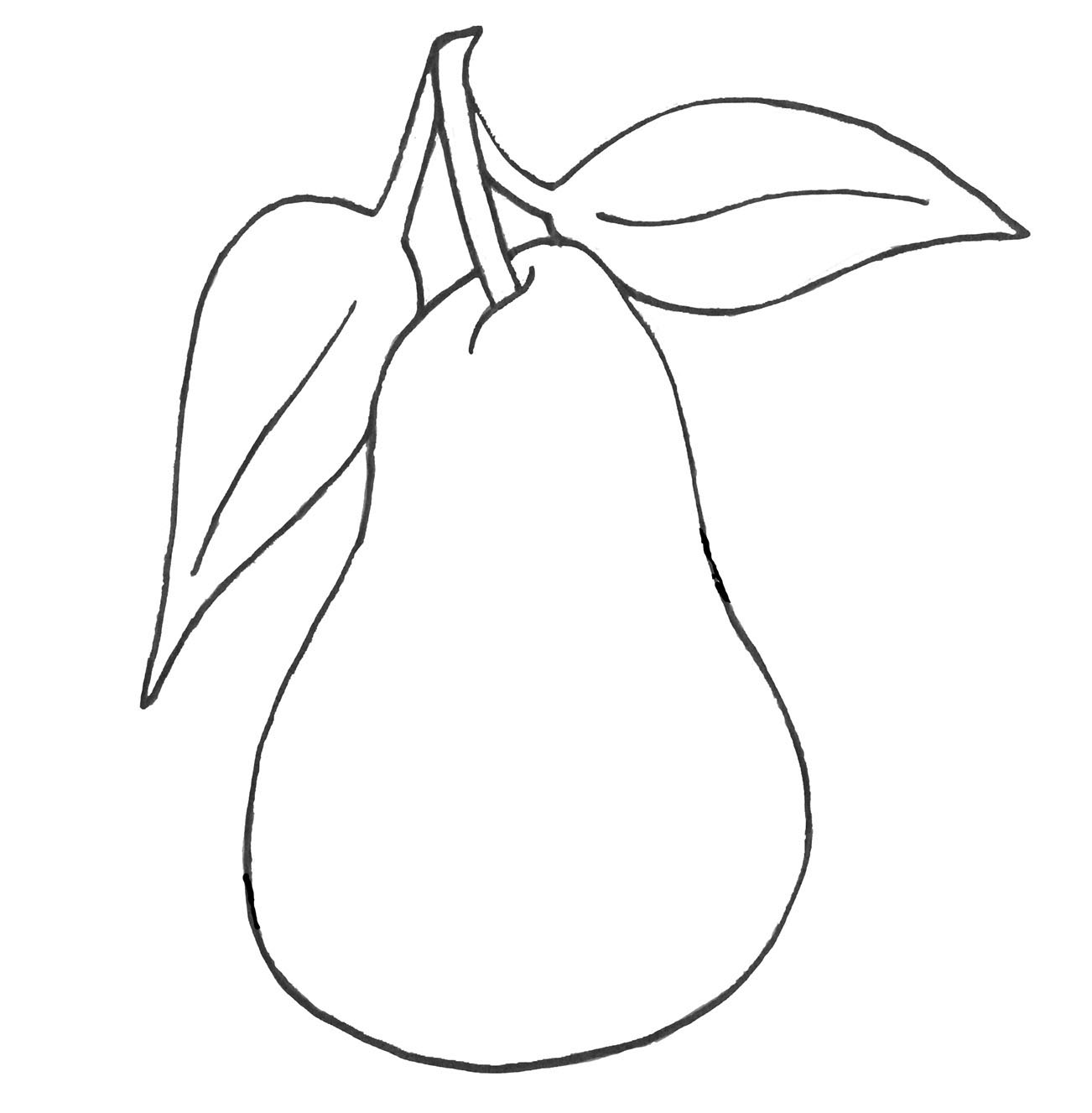 pear outline clip art