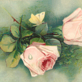 Pink Floral Postcard