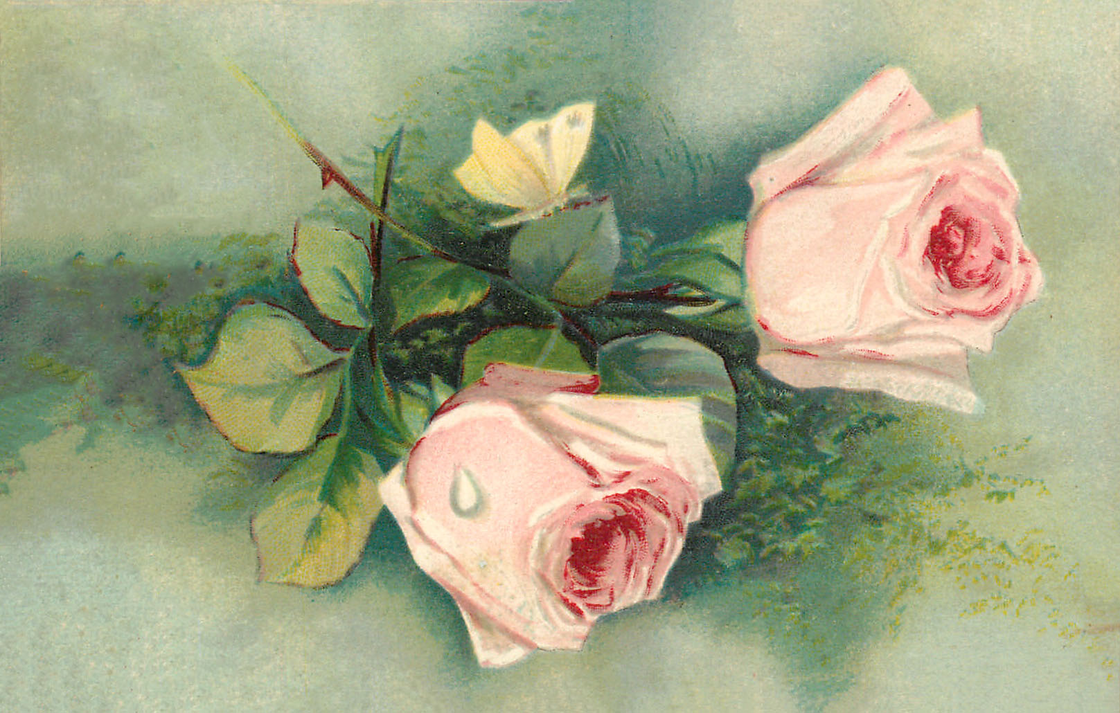 Pink Floral Postcard