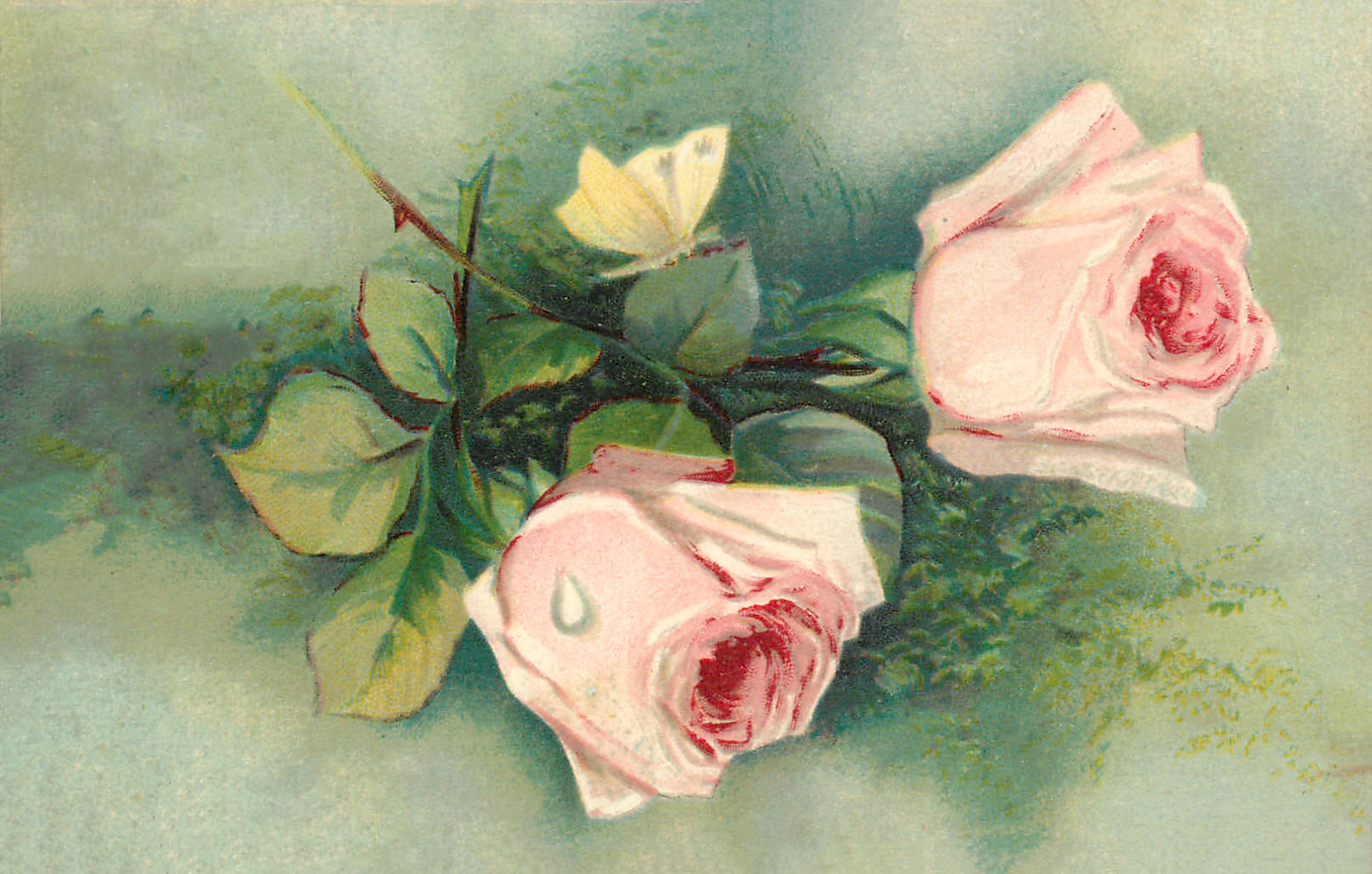 8 Vintage Rosebud Pictures! - The Graphics Fairy