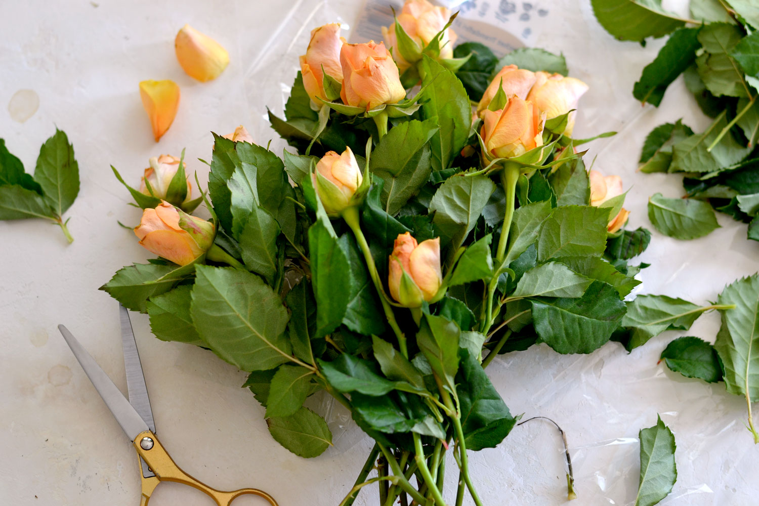 orange tulip bouquet wrapped in brown paper with pencils, …