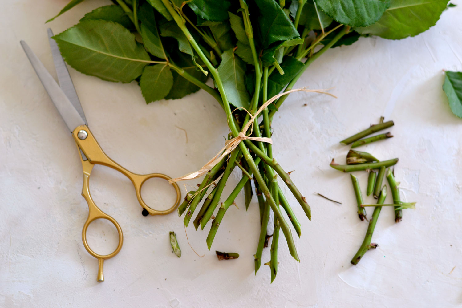 angle cutting the stems