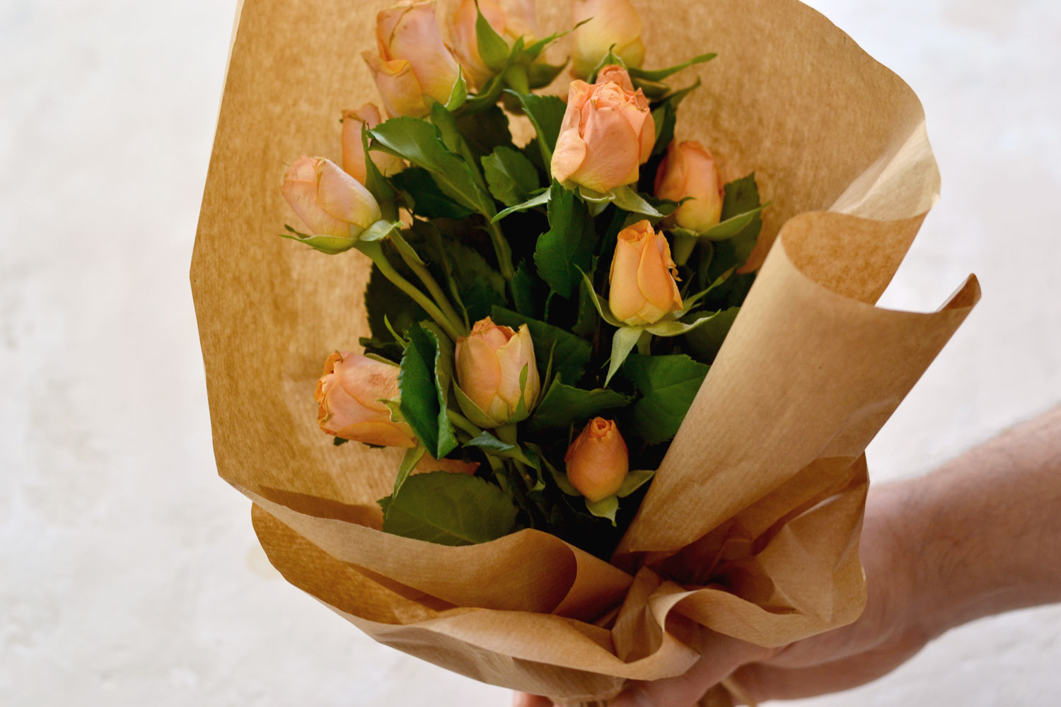 Pom & Daisy Bouquet in Brown Paper