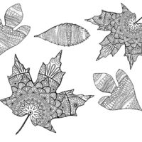 Zen Fall Leaves Coloring Page