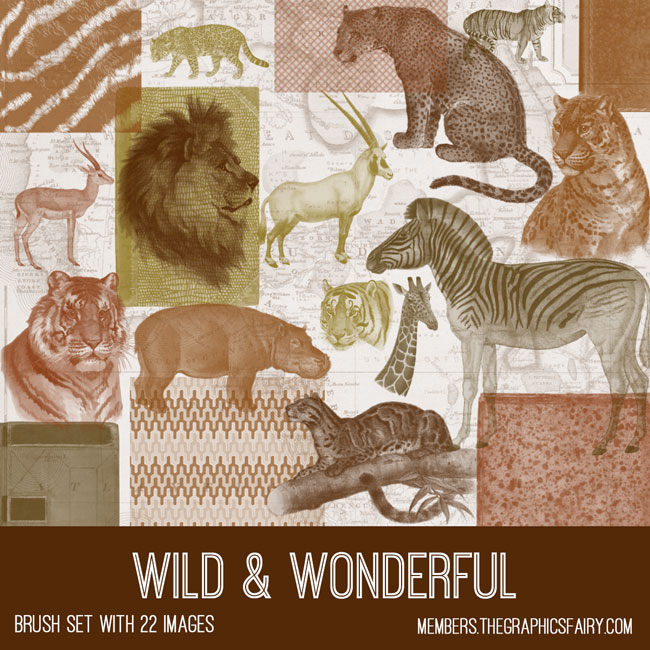 Vintage Wild & Wonderful ephemera brush set