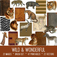 vintage Wild & Wonderful ephemera bundle