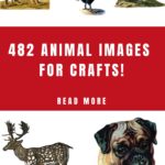 Animal Pictures for Crafts