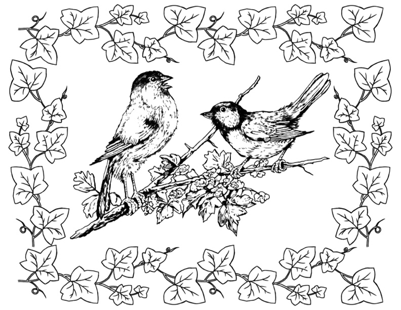 coloring pages of birds and flowers