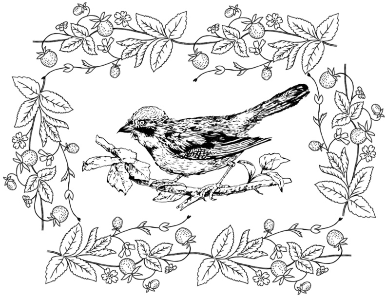 coloring pages of birds nests