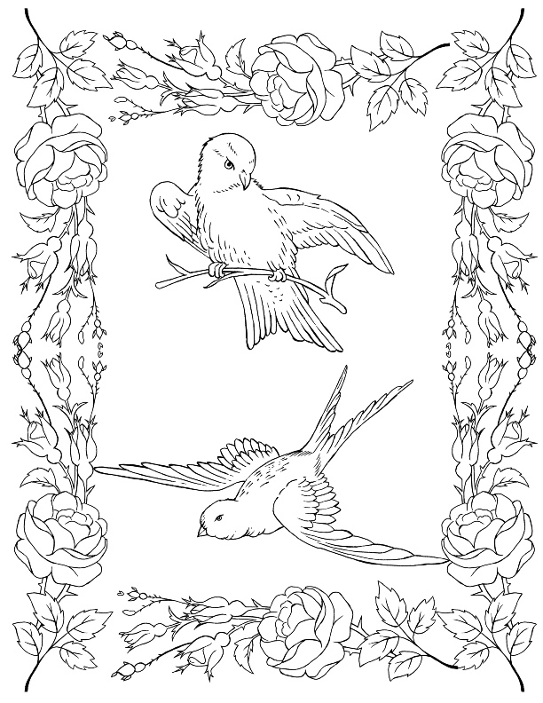 coloring pages of birds and flowers