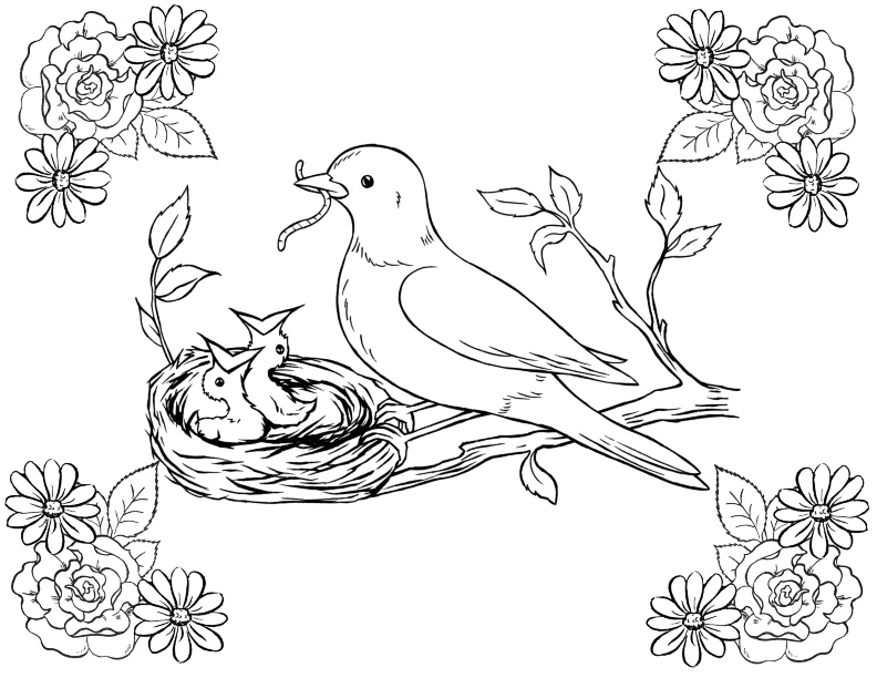 Bird Coloring Pages - 26 Gorgeous Birds to Color