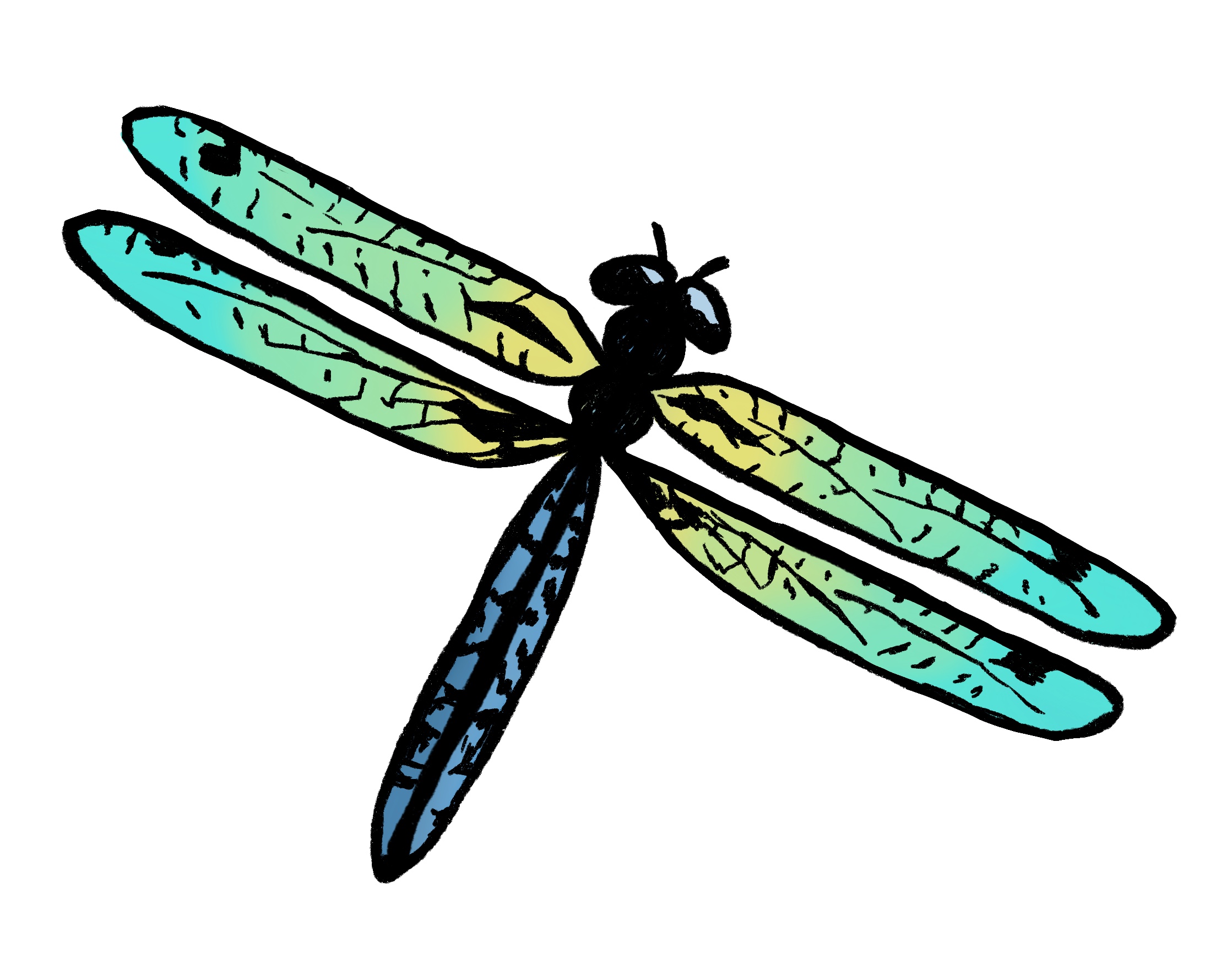 Easy Dragonfly Drawing