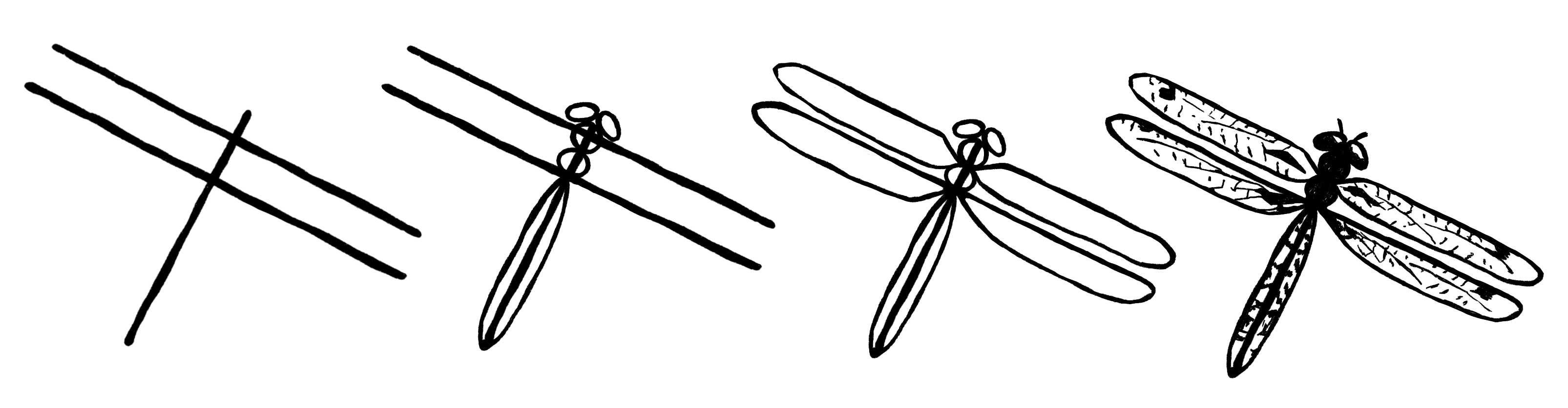 simple dragonfly drawings