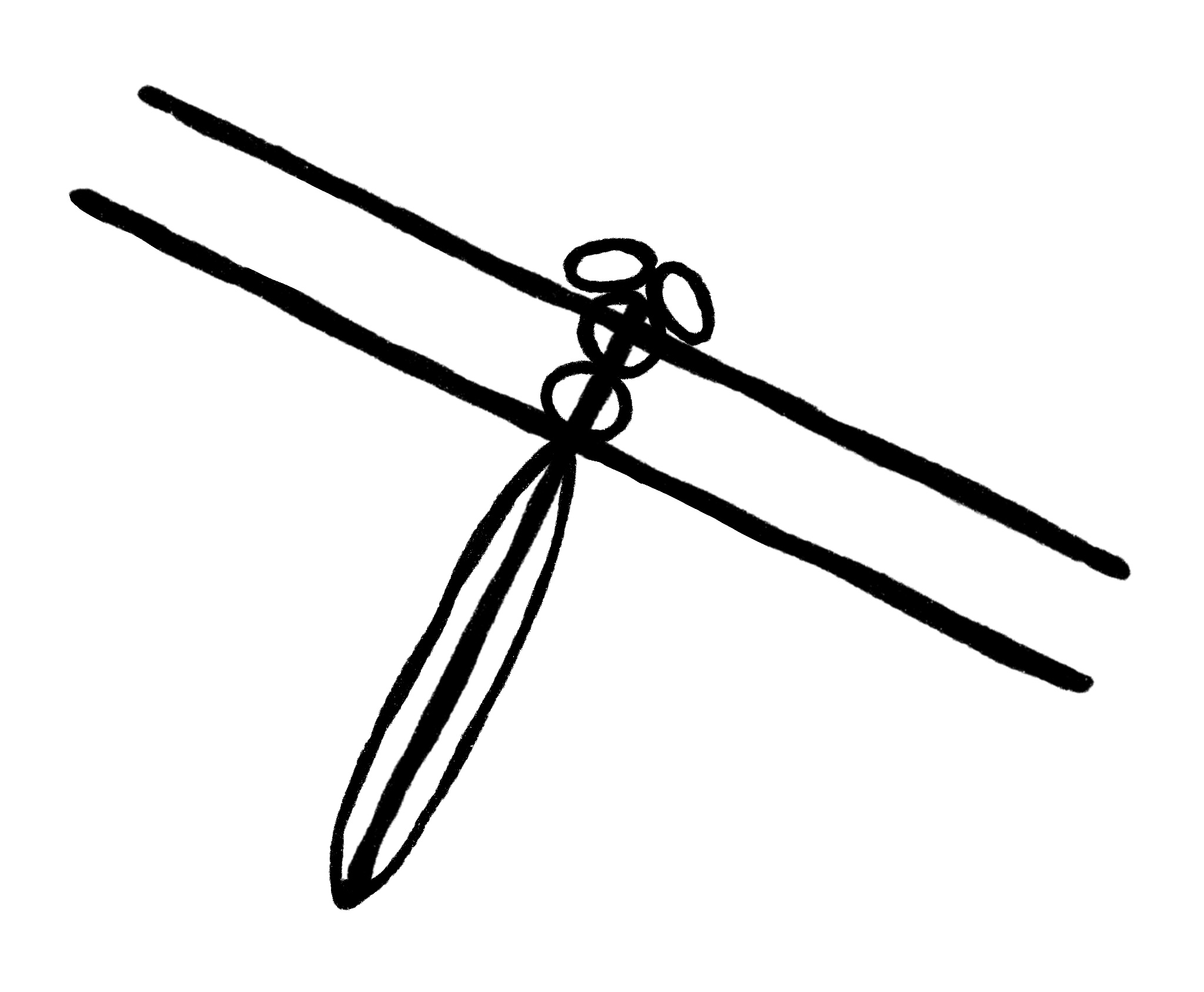 Dragonfly Drawing Step 2
