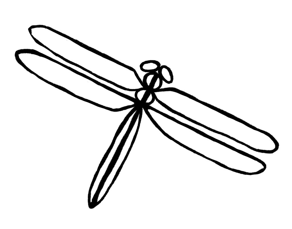 Easy Dragonfly Drawing: (4 Steps)! - The Graphics Fairy