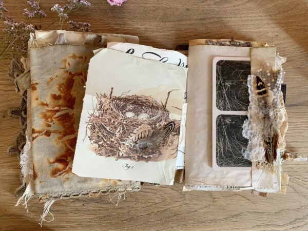 Junk journal spread with bird nest image