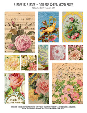 A Rose is a Rose Collage Sheet Mixed Sizes